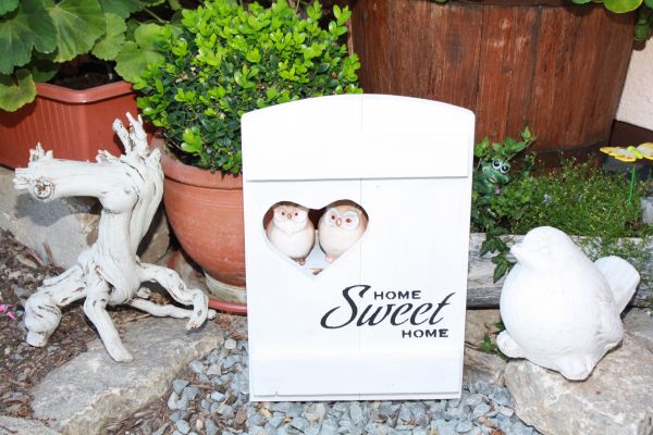 Fensterladen im Shabby chic look mit sweet home Aufschrift Landhaus